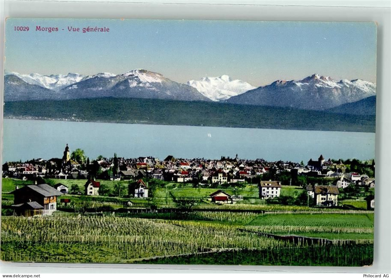 1110 Morges - 10589517