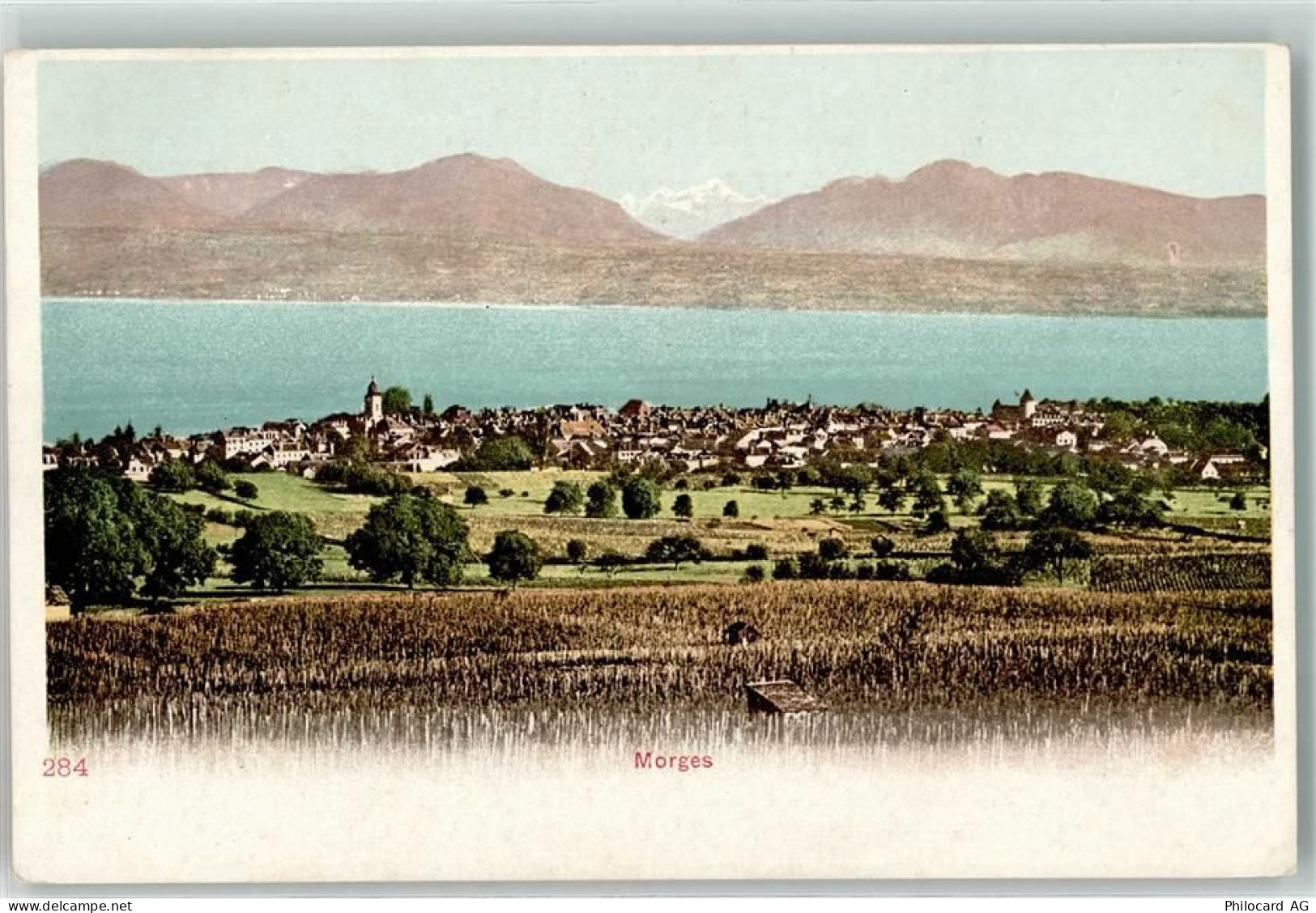 1110 Morges - 39373114