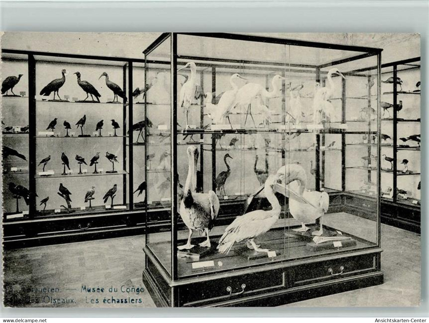 11103009 - Tervuren Tervueren