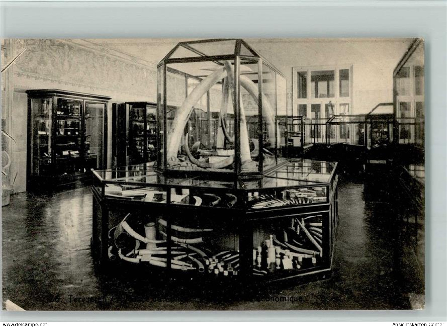 11103016 - Tervuren Tervueren