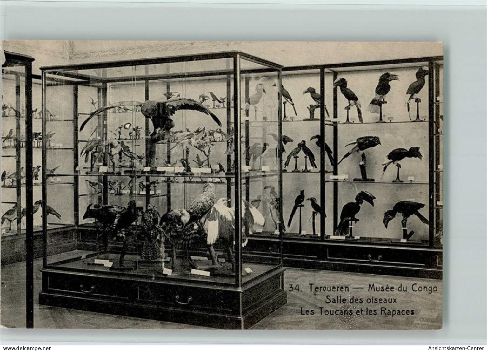 11103067 - Tervuren Tervueren