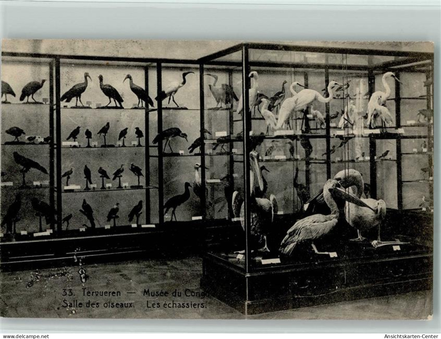 11103070 - Tervuren Tervueren