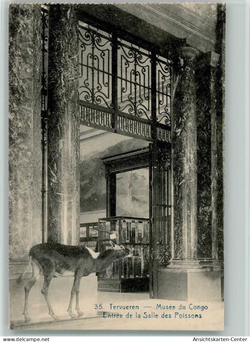 11103090 - Tervuren Tervueren