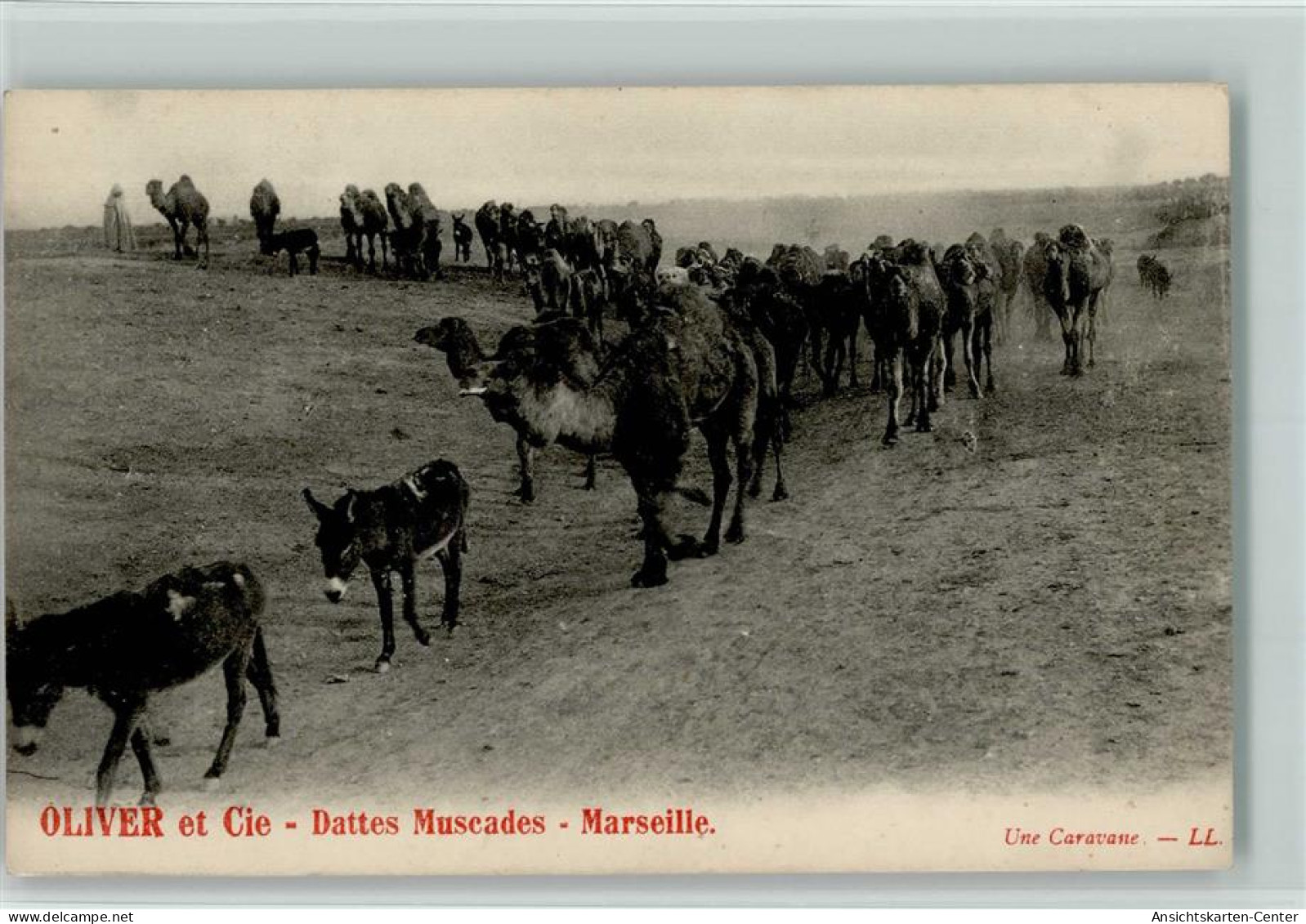 11103376 - Oliver et Cie Dattes Muscades