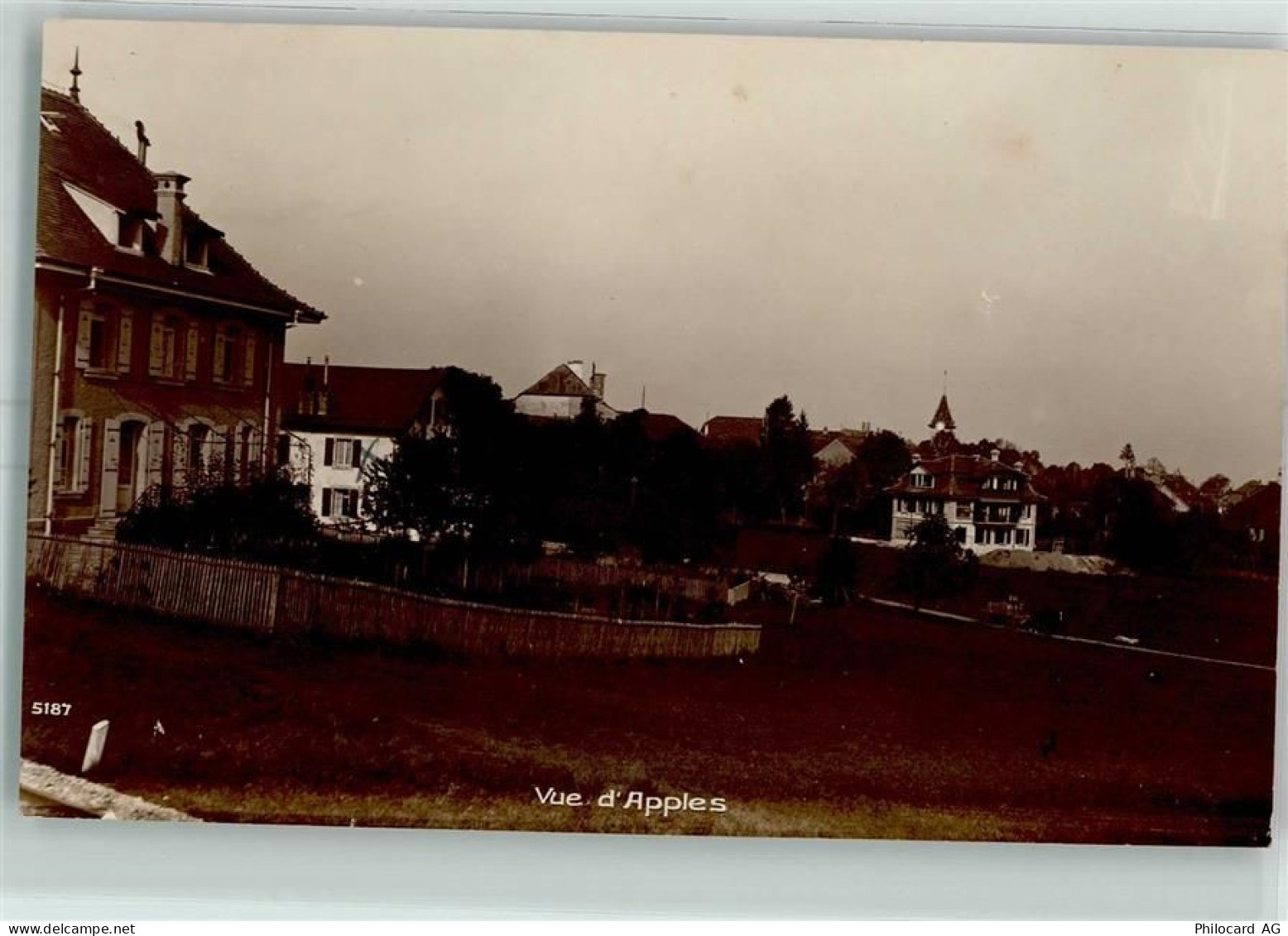 1143 Apples - 13173118