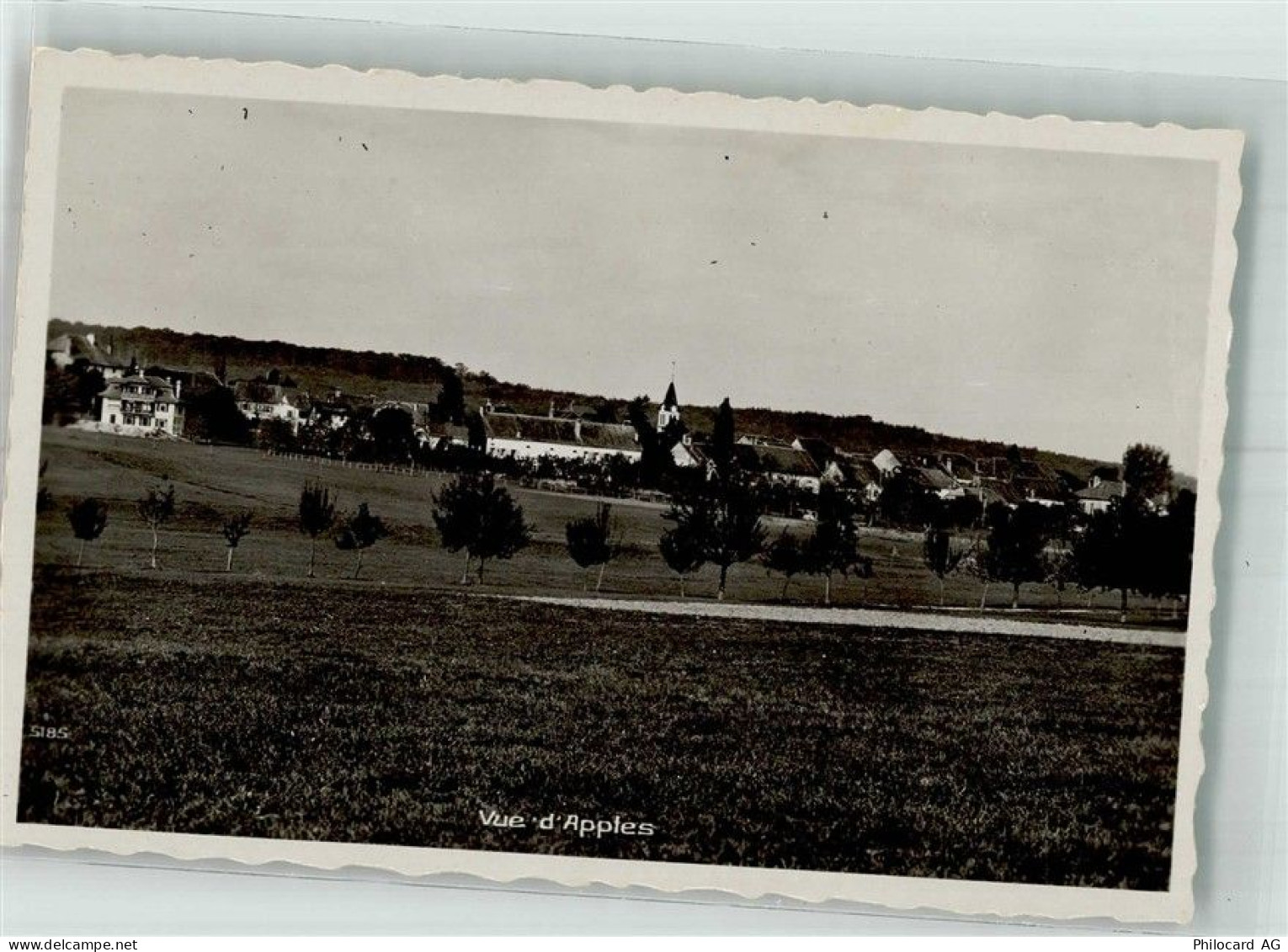 1143 Apples Foto AK - 38216638