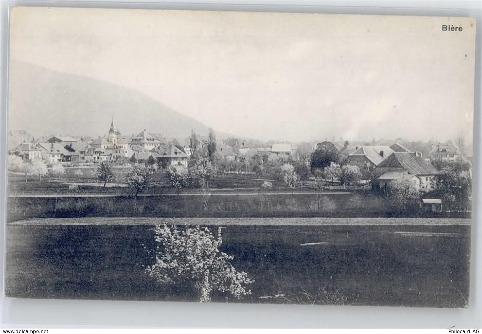 1145 Bière - 50894607