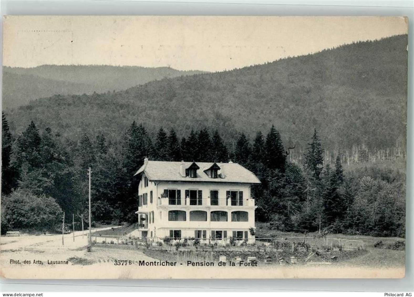 1147 Montricher 1908 - Pension de la Foret - 13936271