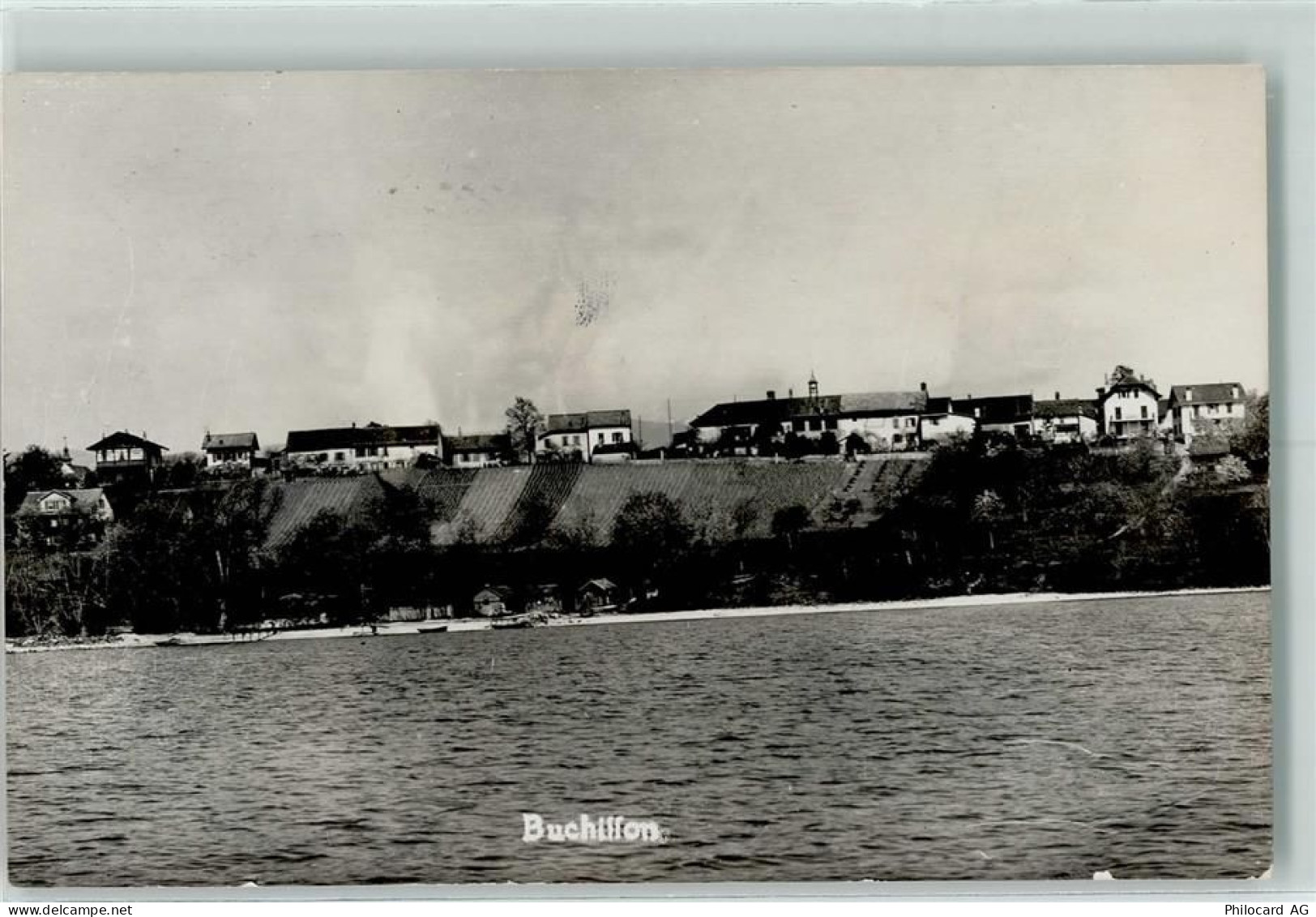 1164 Buchillon - 13124859