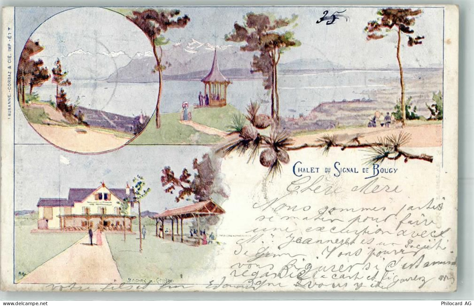 1172 Bougy-Villars 1899 Künstlerkarte Chalet su Signal de Bougy sign. - 13271709