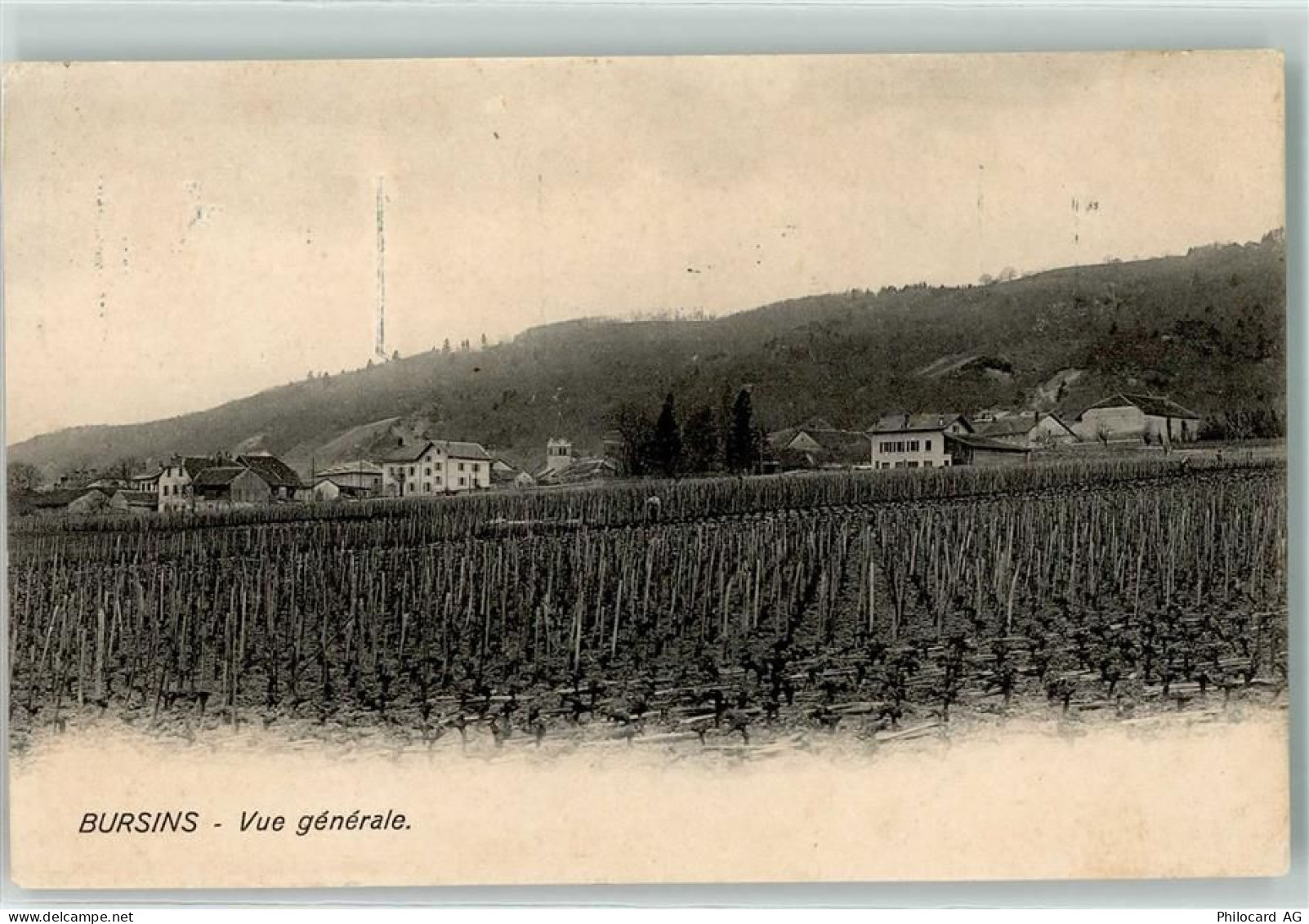 1183 Bursins 1913 - Weinberge - 13905439