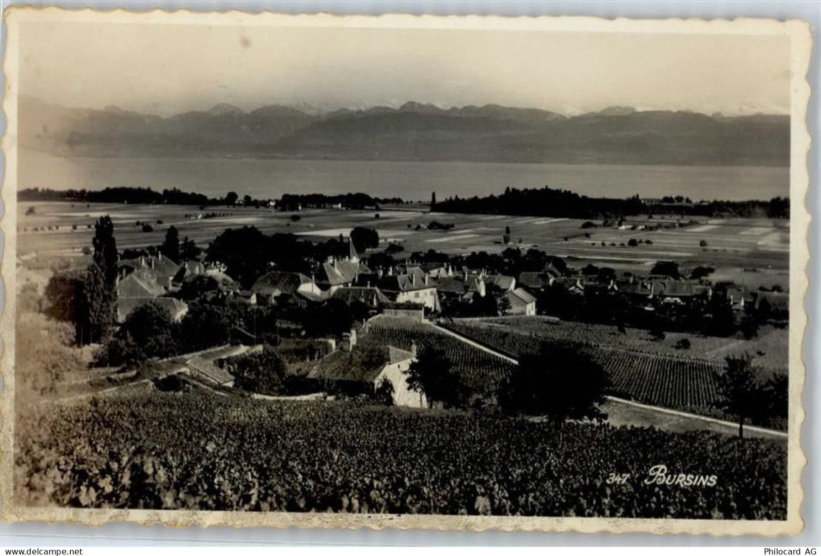 1183 Bursins Gebrauchsspuren - 50773383