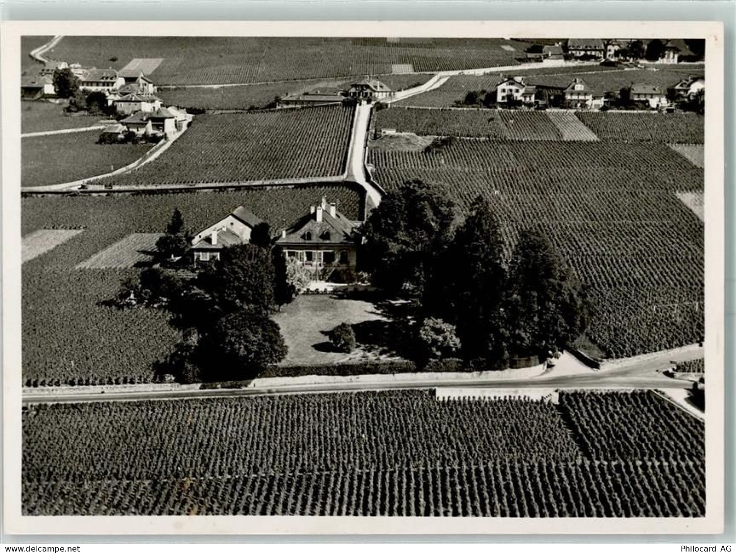 1185 Mont-sur-Rolle - Montbenay Weinberge - 13232551