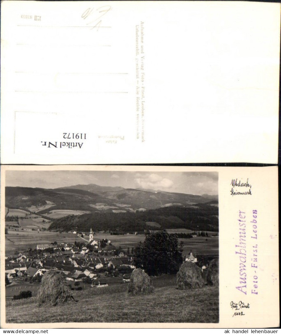 119172,Obdach Totale Auswahlmuster pub Fürst 1442