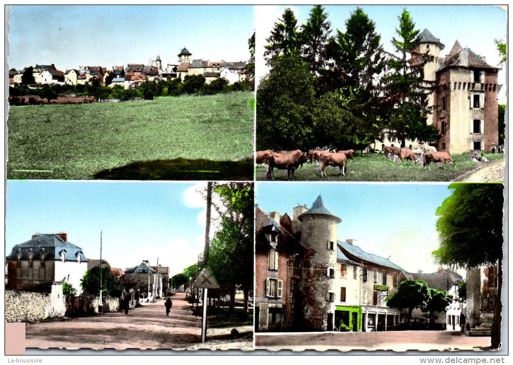 12 MONTBAZENS - carte multivues --