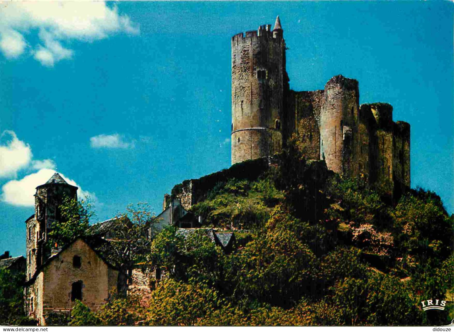 12 - Najac - Le Château - CPM - Voir Scans Recto-Verso