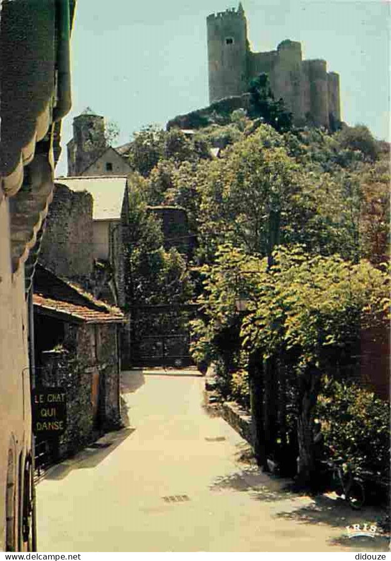 12 - Najac - Le Château - CPM - Voir Scans Recto-Verso