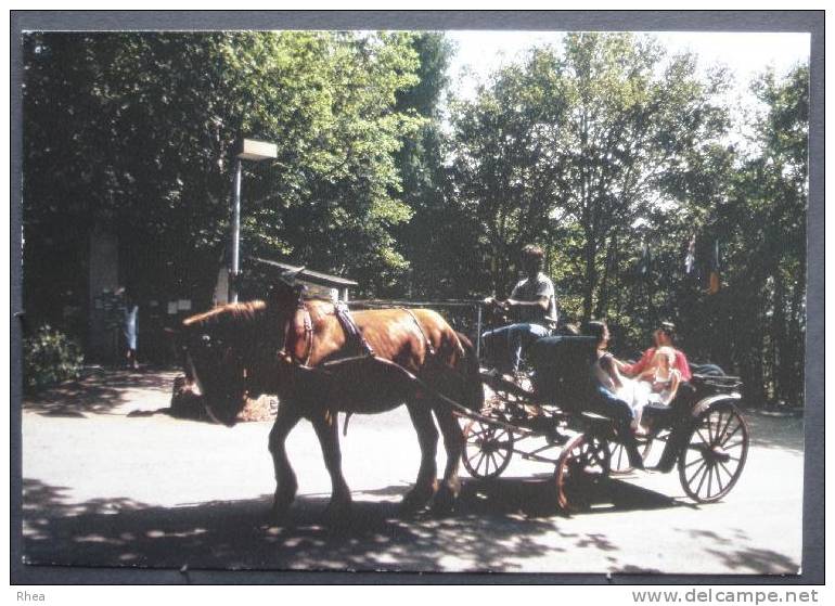 12 Najac village vacances attelage cheval caleche    D12D  K12167K  C12167C RH044066