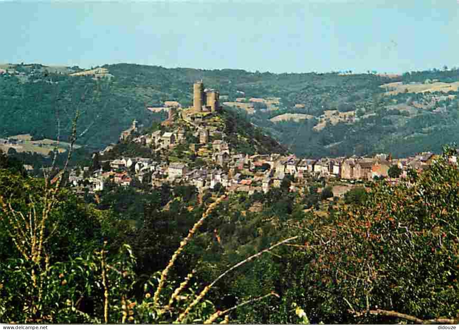 12 - Najac - Vue Générale - CPM - Voir Scans Recto-Verso