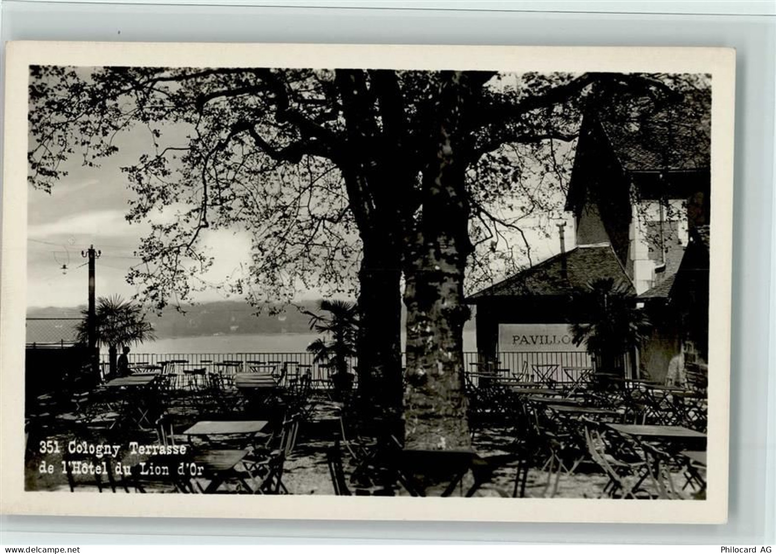 1200 Genève Genf - Cologny Terrasse de lHôtel du Lion dOr - 12115149