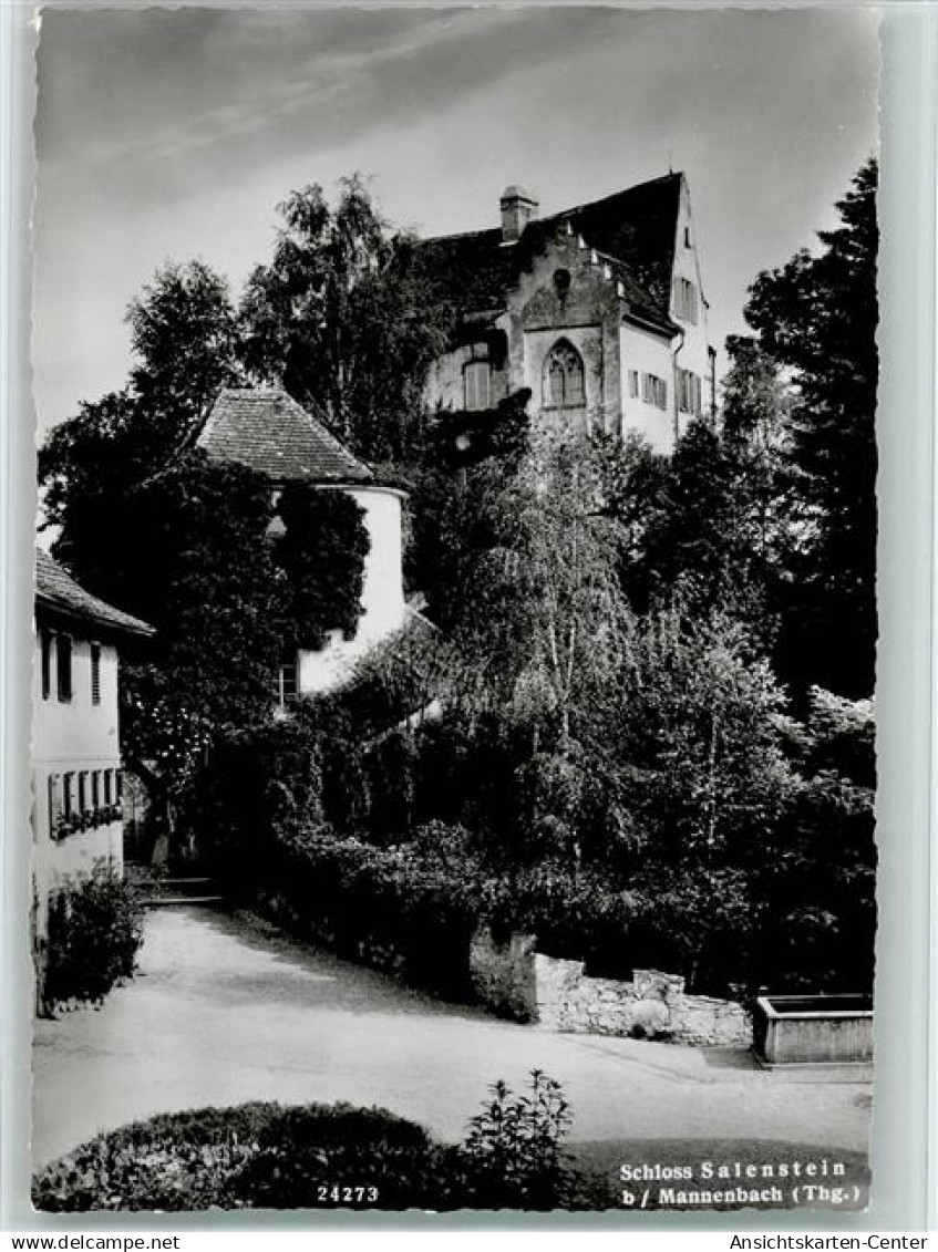 12113854 - Mannenbach-Salenstein