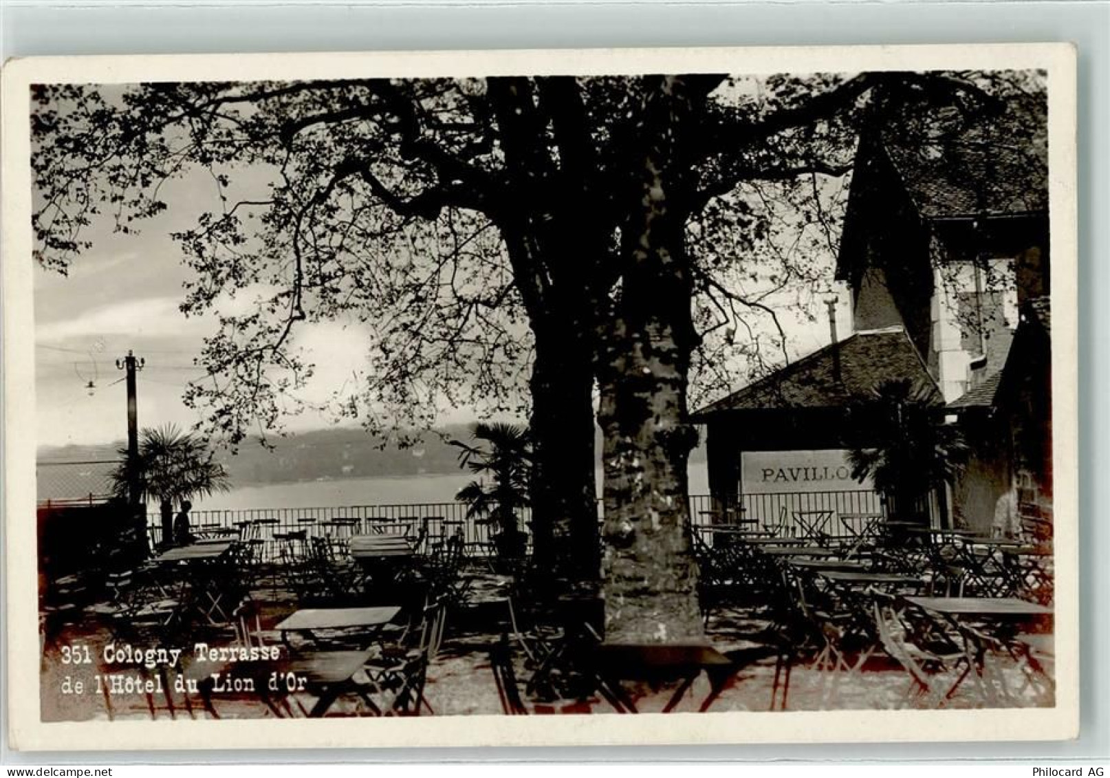 1223 Cologny - Hotel du Lion d Or Terrasse - 10592486