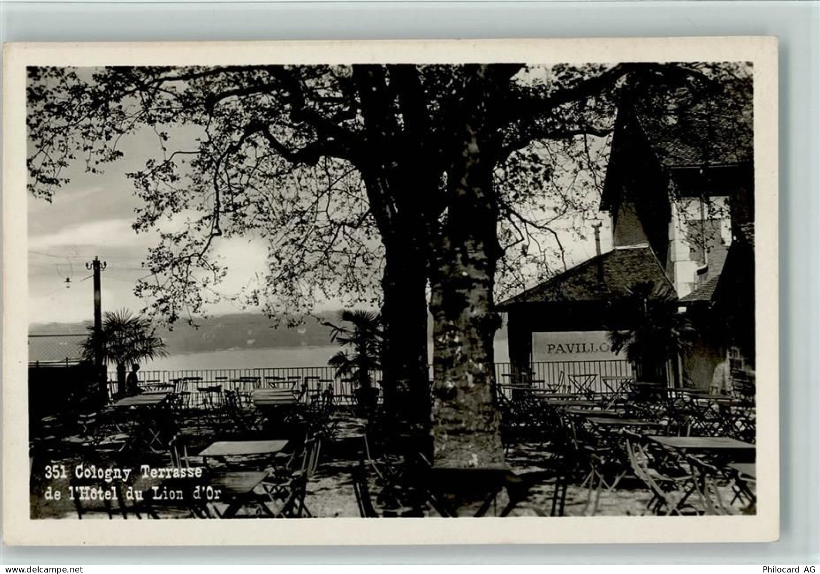 1223 Cologny - Terrasse de lHotel du Lion dOr - 11059195