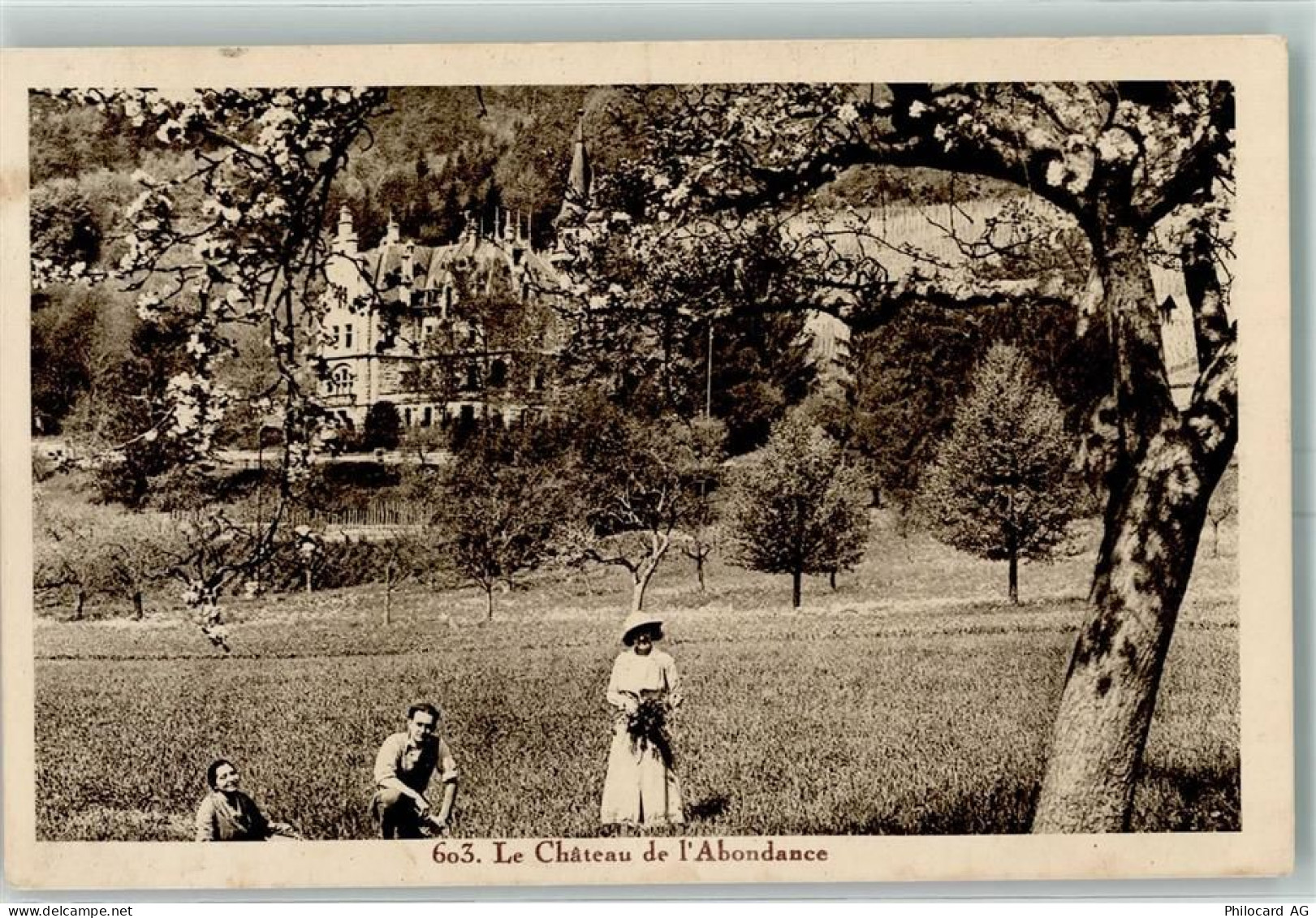 1236 Cartigny - Chateau de l Abondance - 10446713