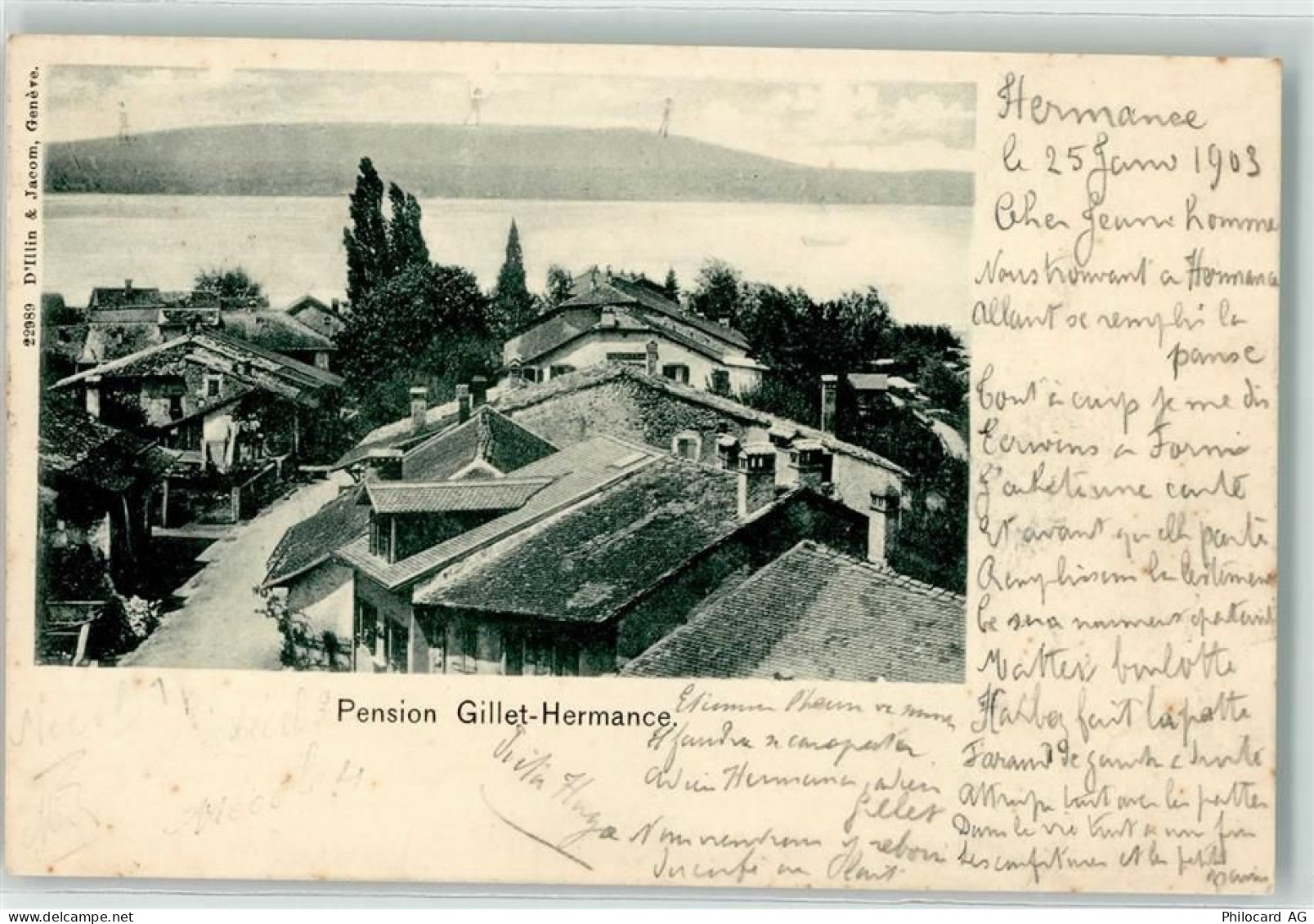 1248 Hermance 1903 - Pension Gillet - 13186944