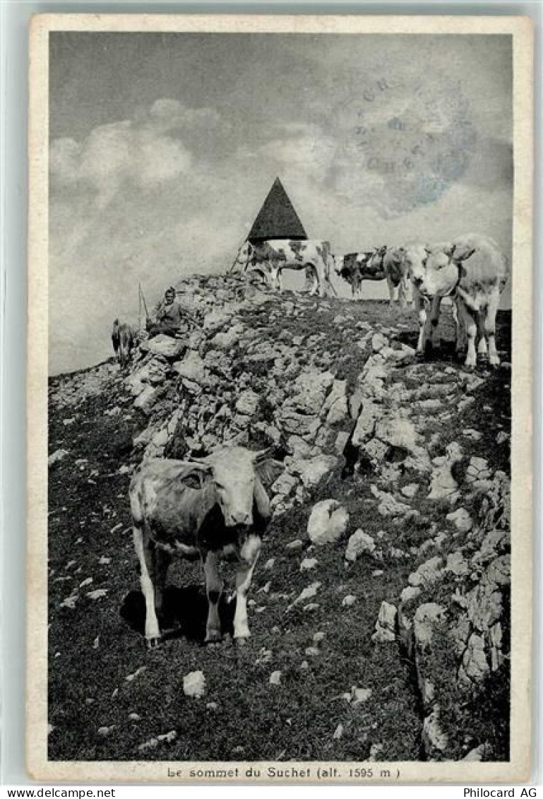 1261 Le Vaud - der Gipfel von Suchet Viehherde - 10596377