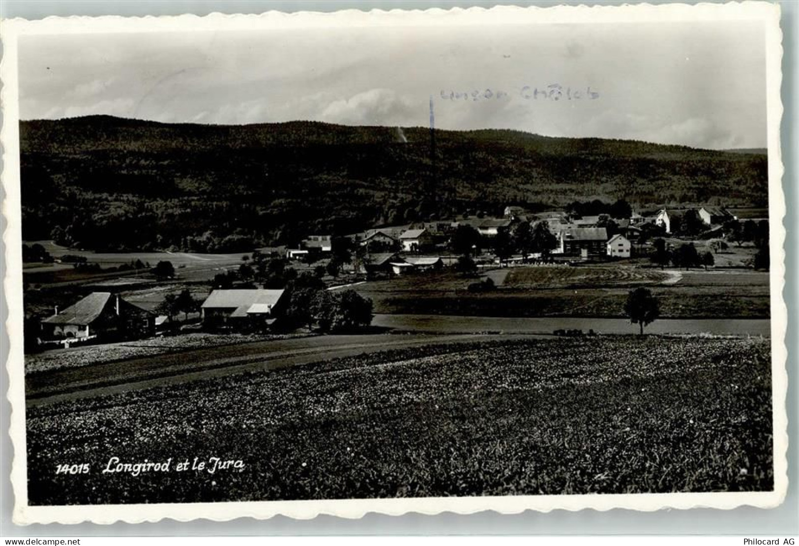 1261 Longirod Foto AK - 39499430