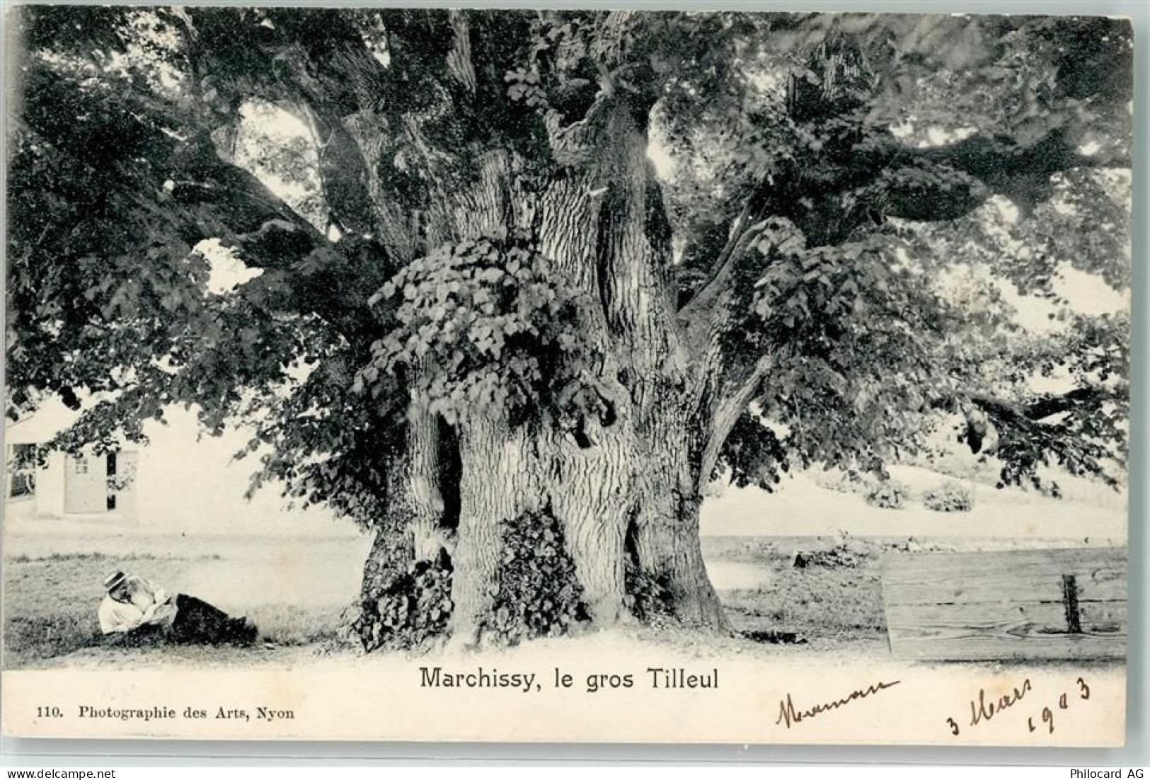 1261 Marchissy 1903 - Grosser Tilleul - 39495353