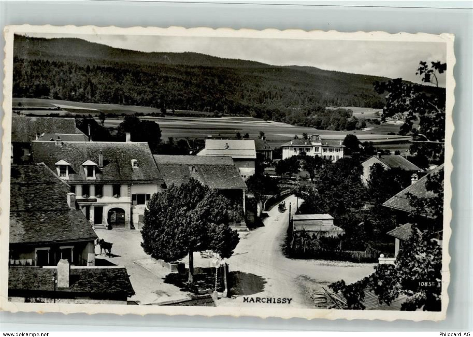 1261 Marchissy 1953 Foto AK Teilansicht, Nr. 10856 Perrochet - 13085935