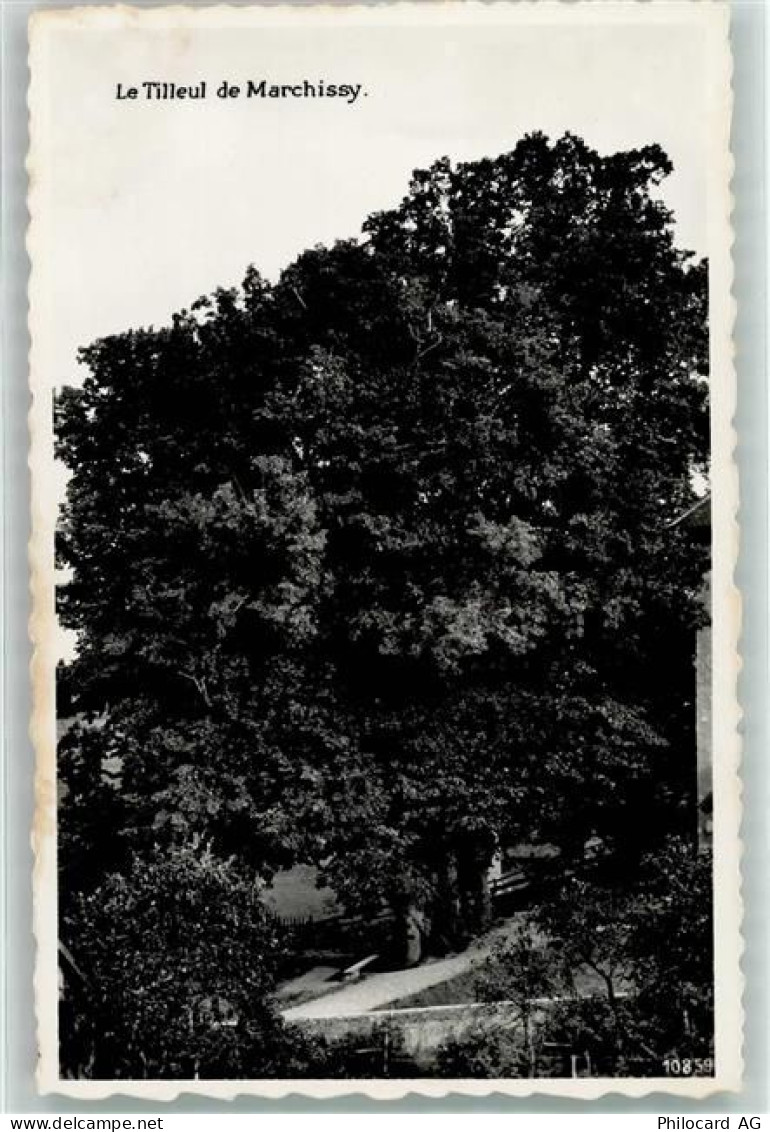 1261 Marchissy - Le Tilleul - 39499011