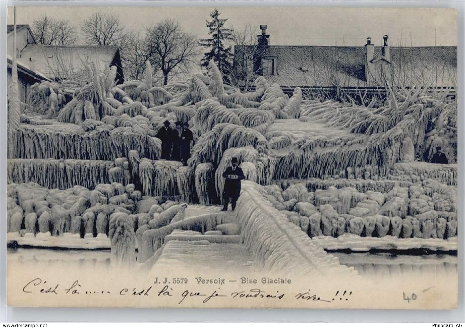 1290 Versoix Sauverny - Bise Glaciale - 50574582