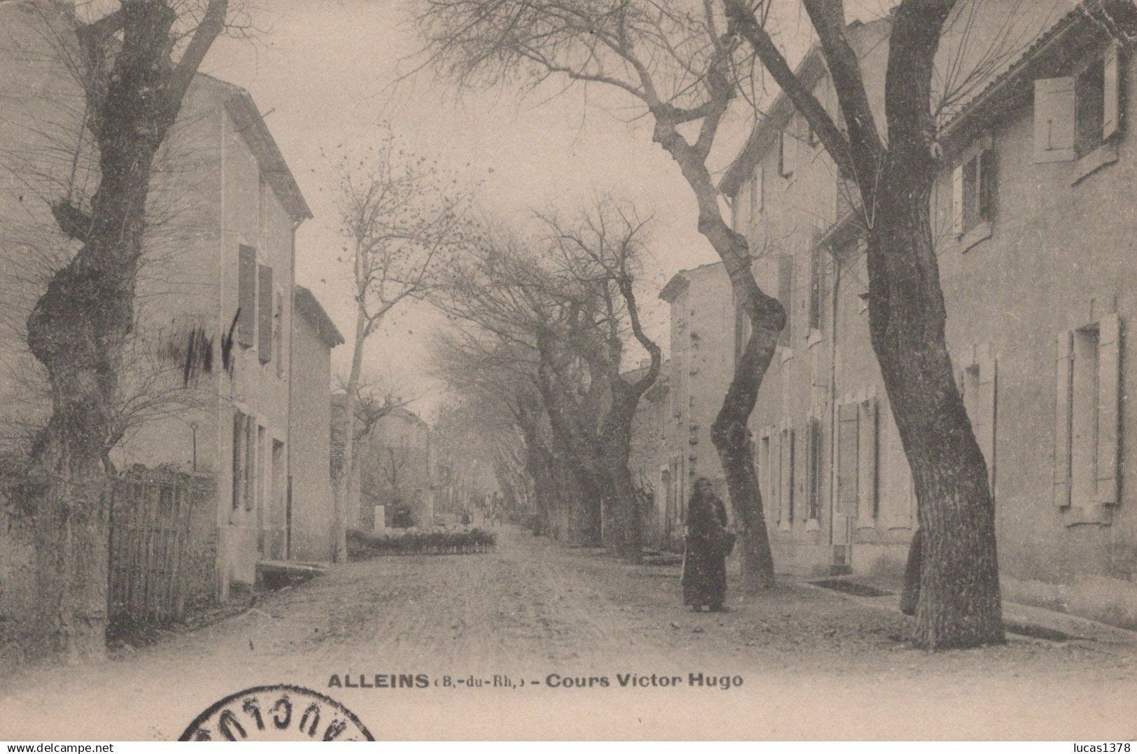 13 / ALLEINS / COURS VICTOR HUGO / ANIMEE / TROUPEAU DE MOUTONS