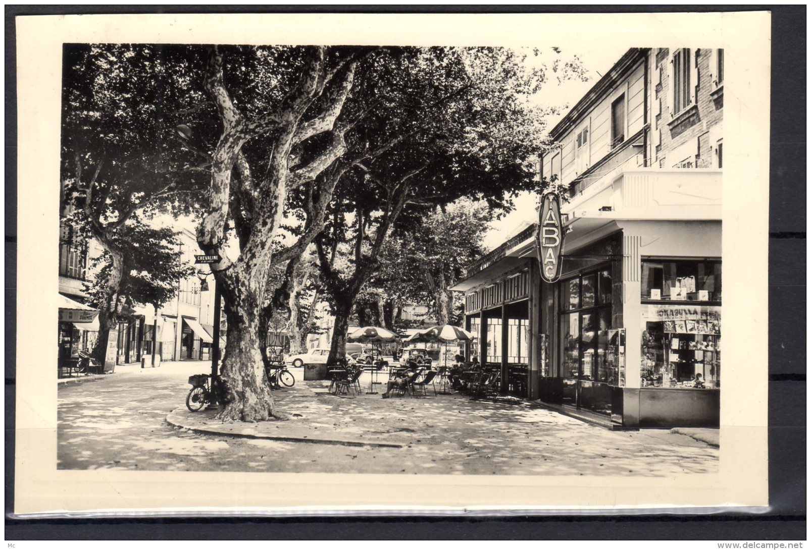 13 - Chateaurenard - Cours Carnot - Tabac - carte photo