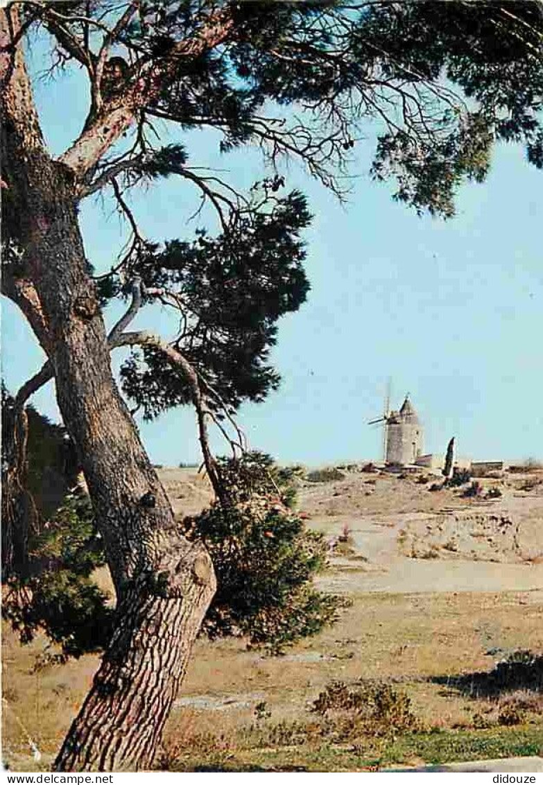 13 - Fontvieille - Le Moulin de Daudet - CPM - Voir Scans Recto-Verso