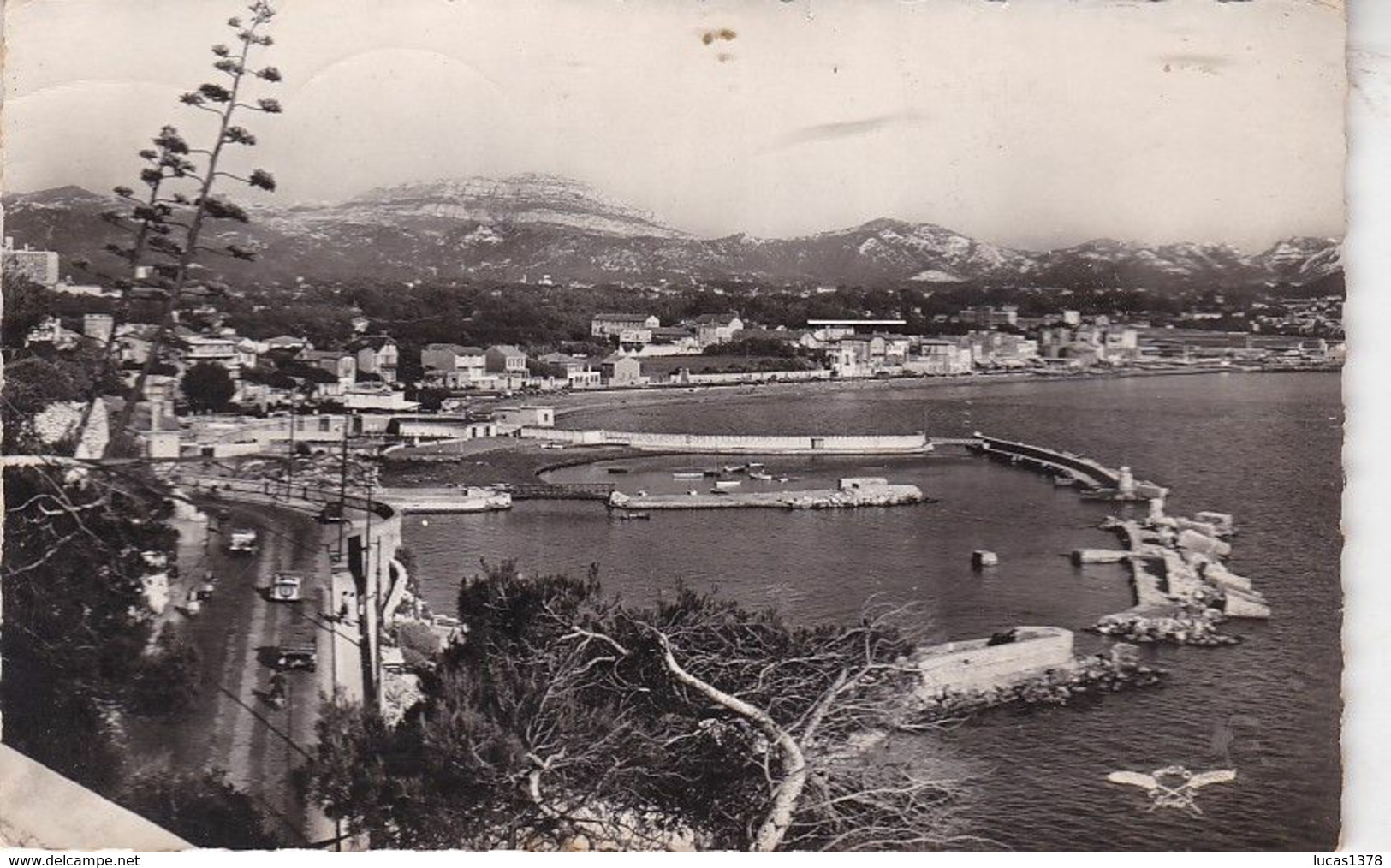 13 / MARSEILLE / CORNICHE / ROUCAS BLANC / PLAGE  PRADO
