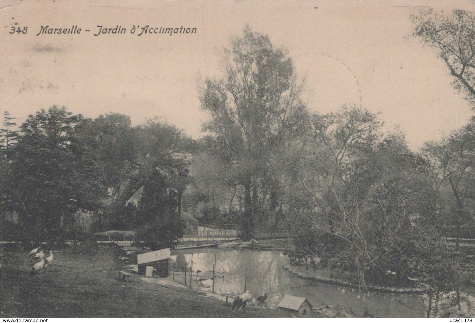 13 / MARSEILLE / JARDIN D ACCLIMATATION