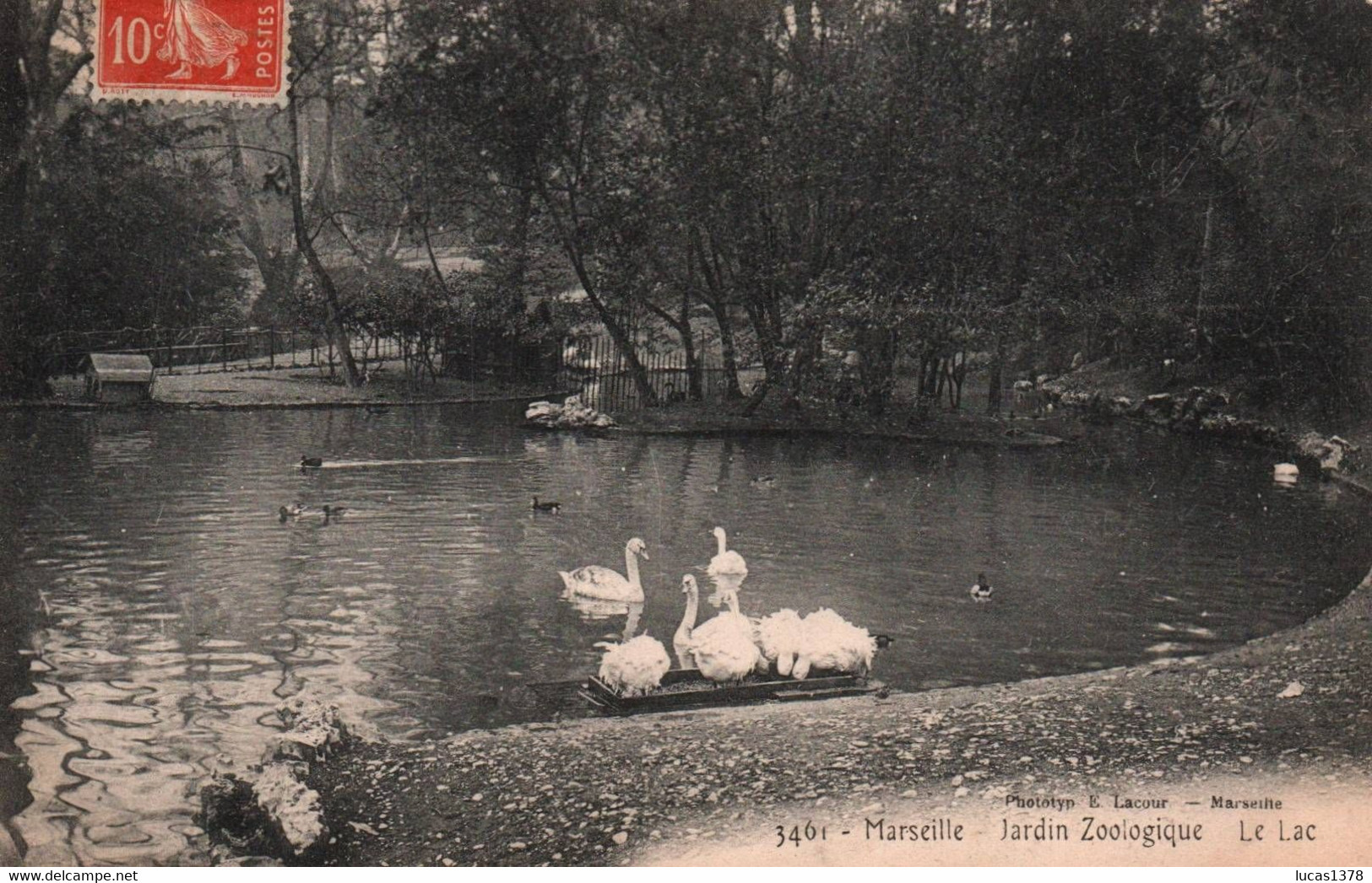 13 / MARSEILLE/  JARDIN ZOOLOGIQUE / LE LAC / LACOUR 3461