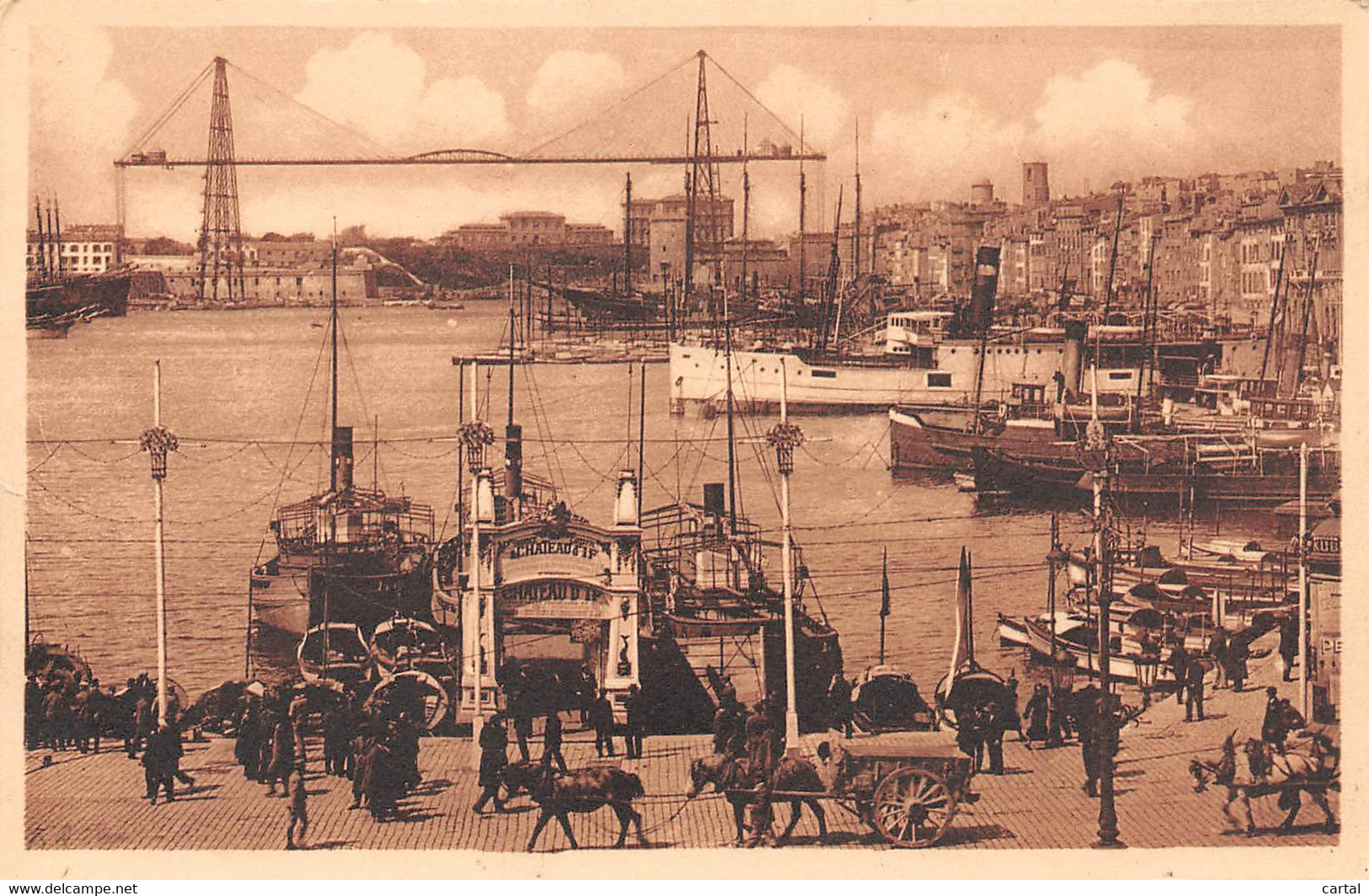 13 - MARSEILLE - Le Vieux Port - Le Transbordeur