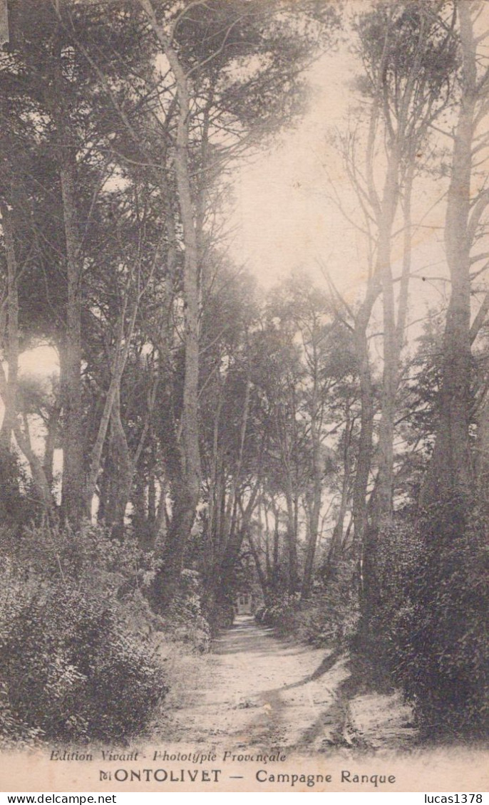 13 / MARSEILLE / MONTOLIVET / CAMPAGNE RANQUE