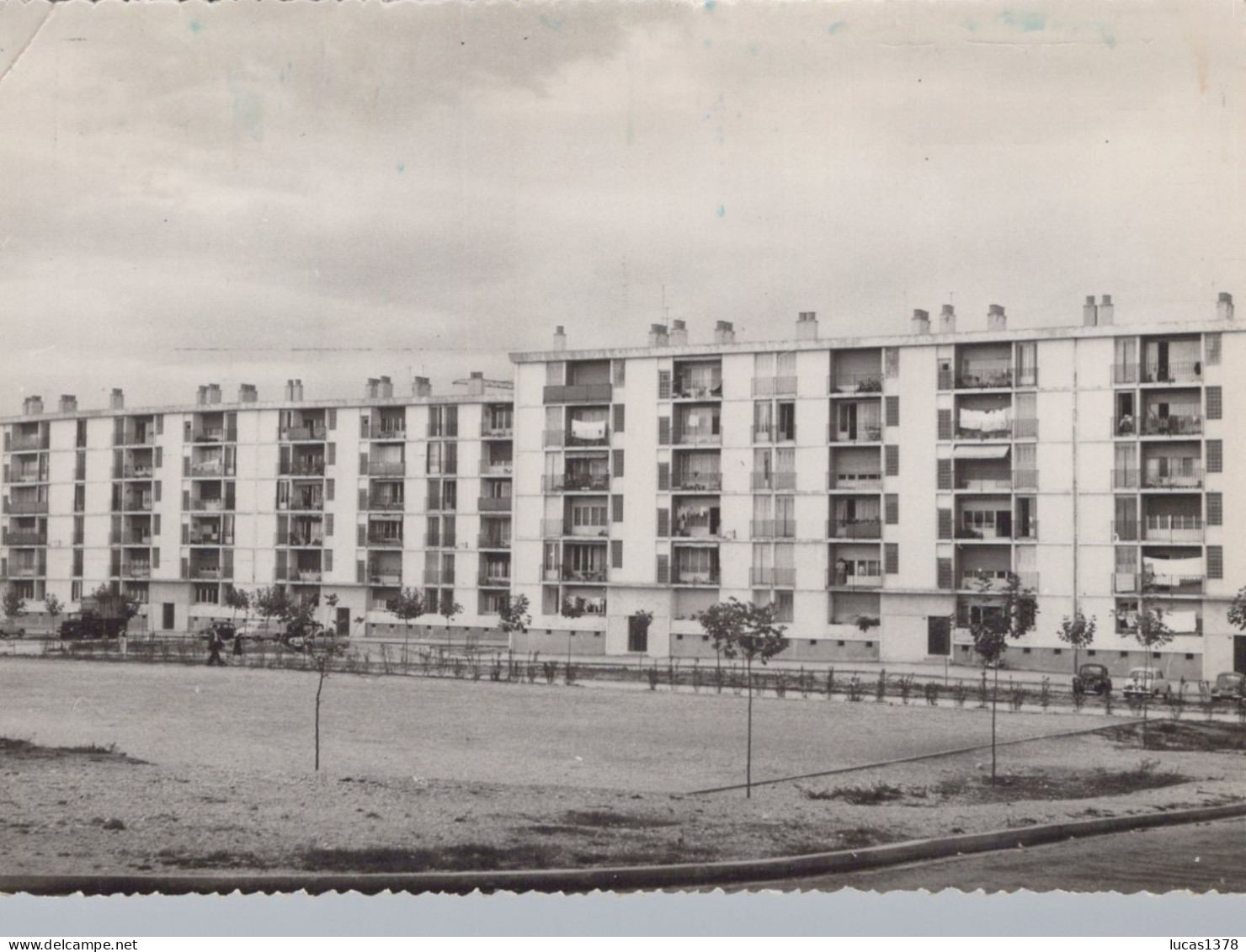 13 / MARSEILLE / PONT DE VIVAUX / LES MARRONNIERS / RARE CPSM