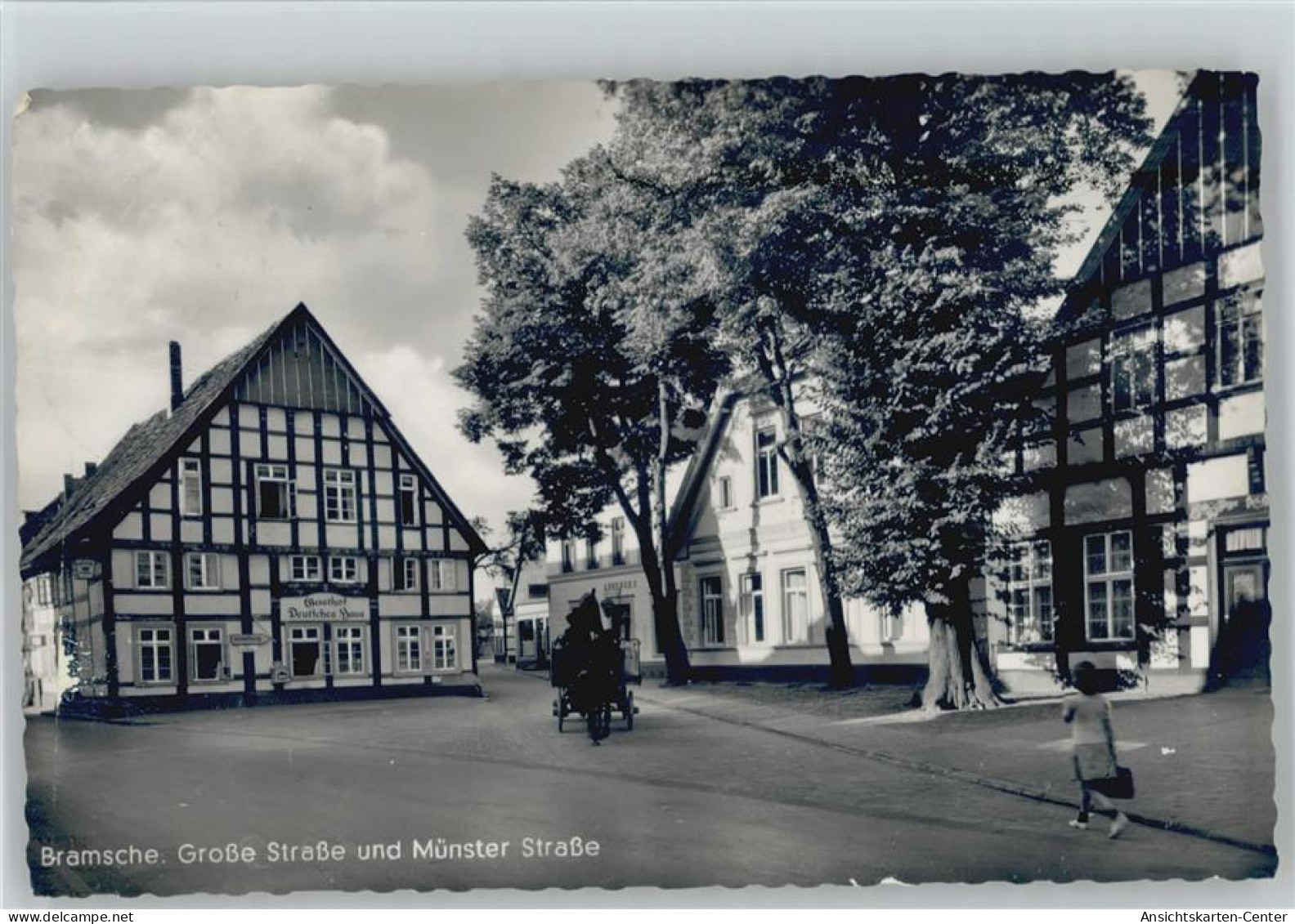 13001256 - Bramsche , Hase