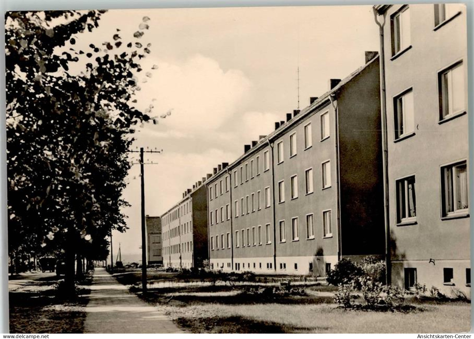 13005049 - Tangerhuette