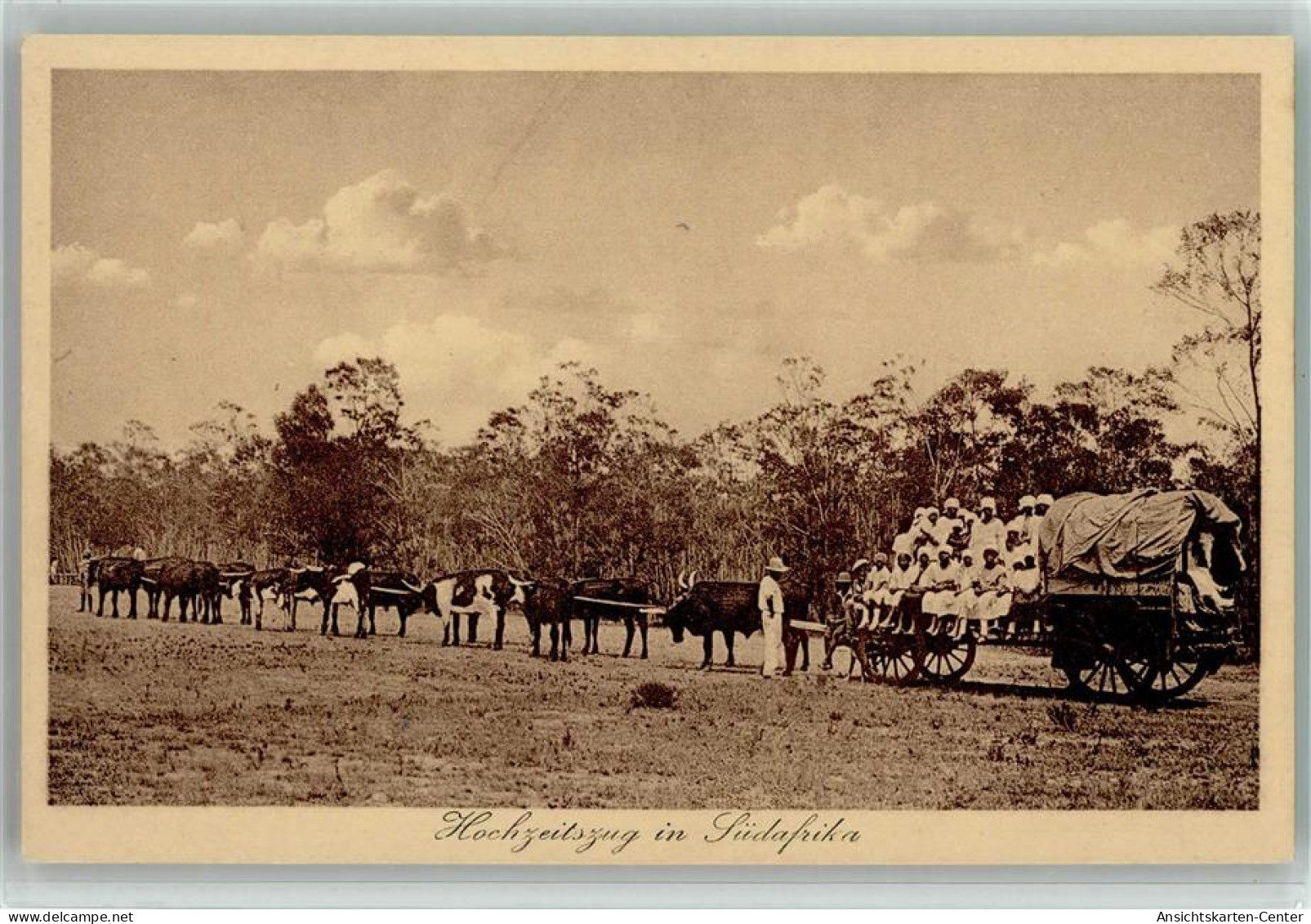 13017888 - Hochzeitszug in Suedafrika