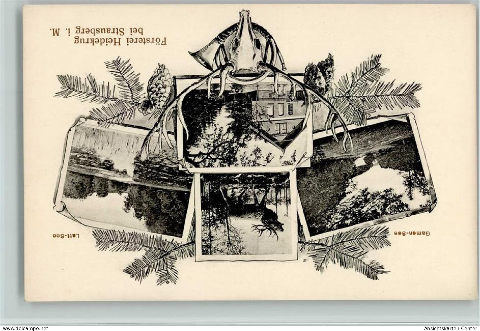 13020686 - Strausberg