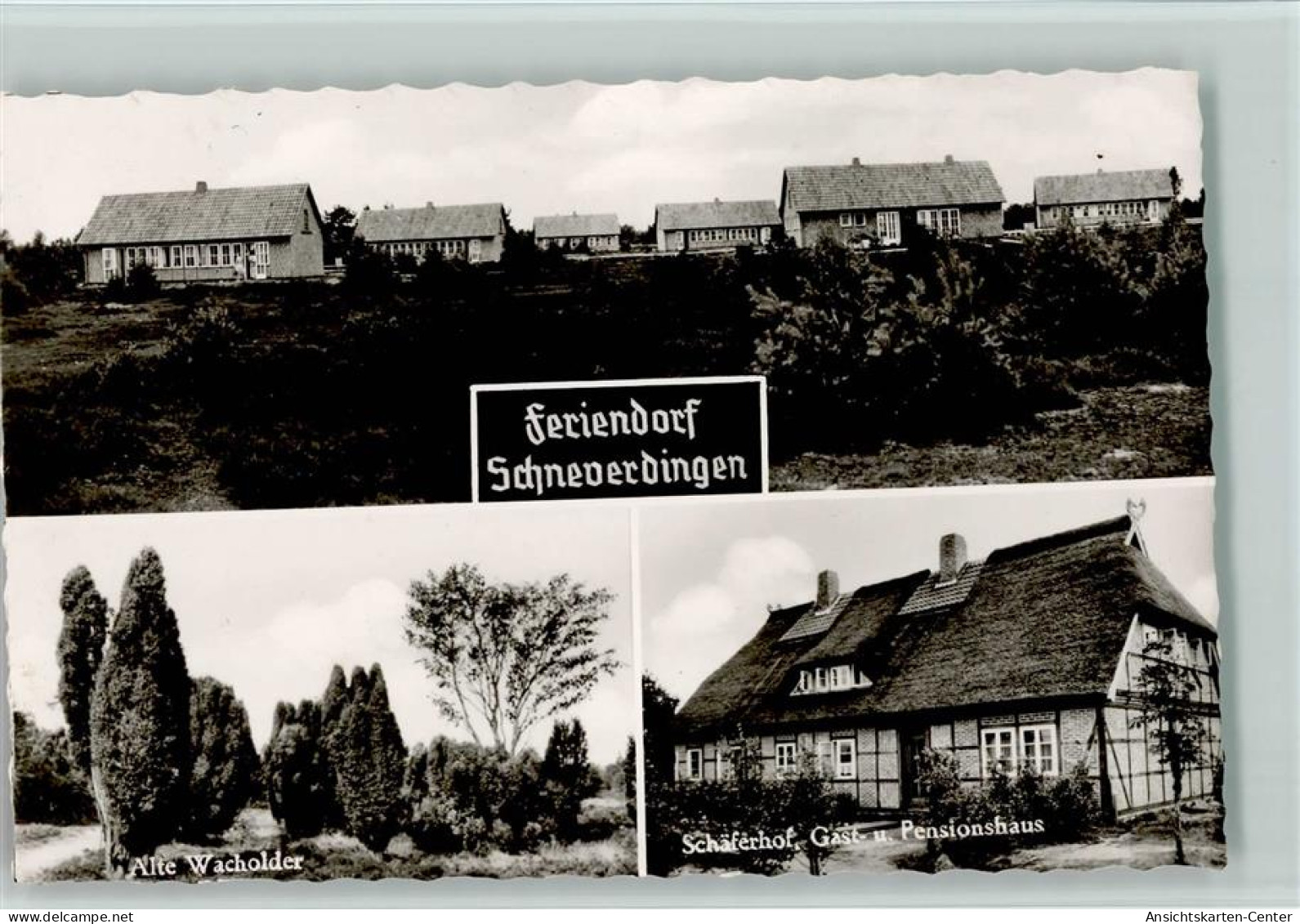 13027155 - Schneverdingen