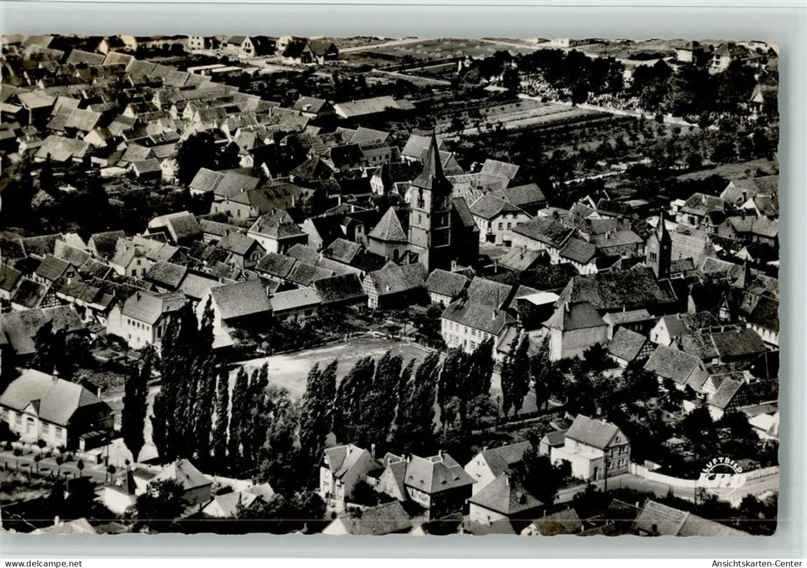 13029731 - Hassloch , Pfalz